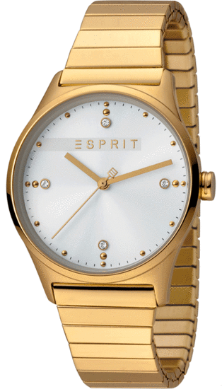 ESPRIT VinRose Silver Gold Matt ES1L032E0115