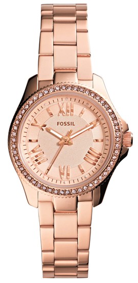 FOSSIL Cecile AM4578
