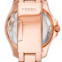 FOSSIL Cecile AM4578