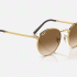 Ray-Ban New Round RB3637 001/51